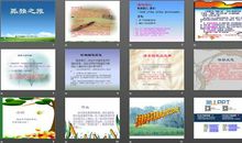 孤独之旅读后感