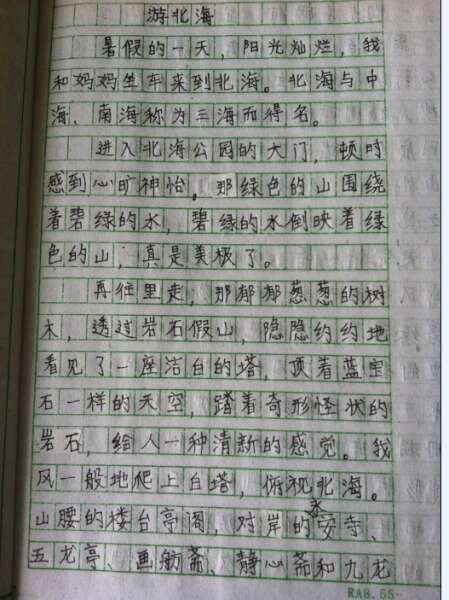 600字作文