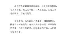 买年货作文200字