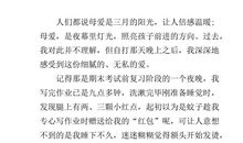 描写母爱的作文