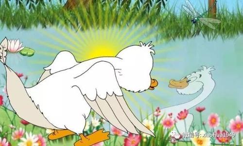 如果我是丑小鸭