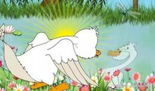 假如我是一只丑小鸭