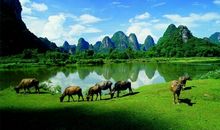 关于桂林山水的作文