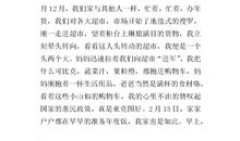 描写春节的作文