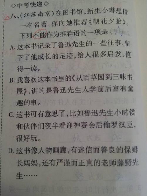 我的假期生活作文400字