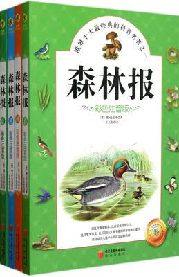 看完森林报纸冬天