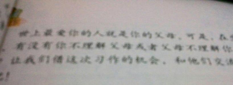 父亲的爱情作文100字