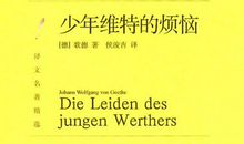 少年维特之烦恼读后感英文