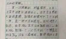 我被感动了作文