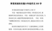 描写老人外貌的作文