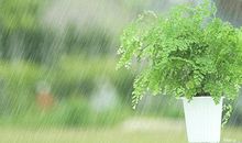 《春尽江南》读后感