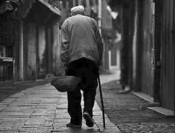 父亲的背影组成