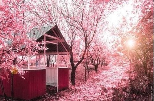 在球场前悠闲地观看作品