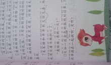 《笨笨猪》读后感