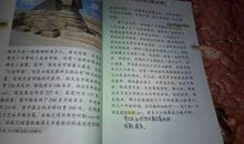 假如记忆可以移植作文