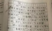 小学生日记大全500字