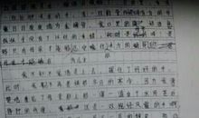 妈妈的手作文450字