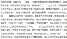 写雪景的作文300字