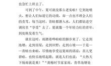 夏天的回忆作文