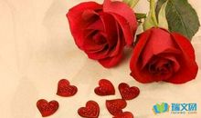 玫瑰花作文250字