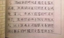 夏天游泳的作文