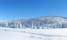 冬季雪景作文400字