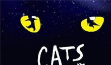 音乐剧猫观后感