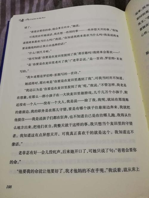 麦田里的守望者英语读后感