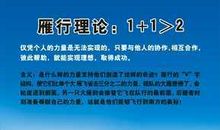 团队精神读后感