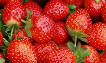 摘草莓作文500字