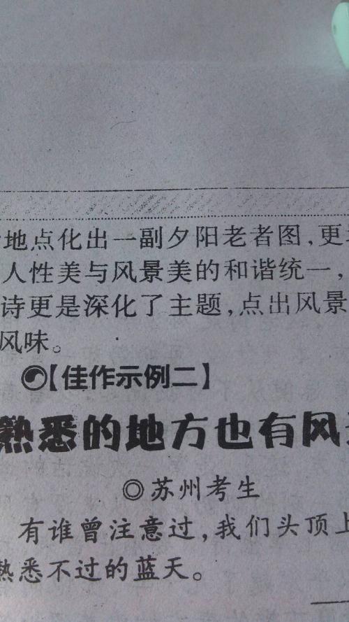 梅花领悟生活哲学构图