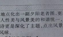 梅花感悟人生哲理作文