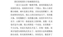 四年级作文美丽的校园