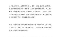 有关夏雨的作文