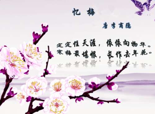 描述梅花品质的成分