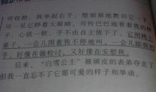 描写猫特点的作文