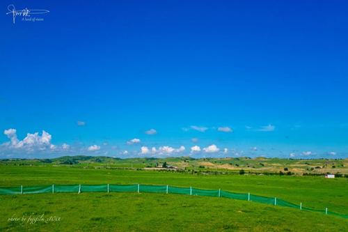 内蒙古大草原组成