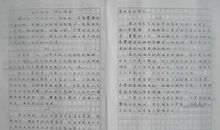 关于生活的启示的作文