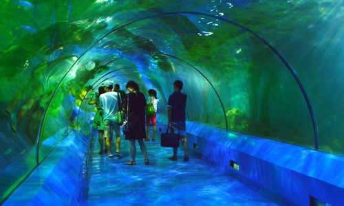 游览北京水族馆的组成