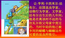 昆虫记法布尔读后感