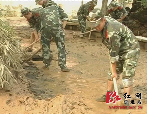 创建美丽的校园