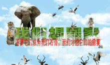 拯救濒危动物读后感