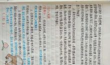 传统文化读后感