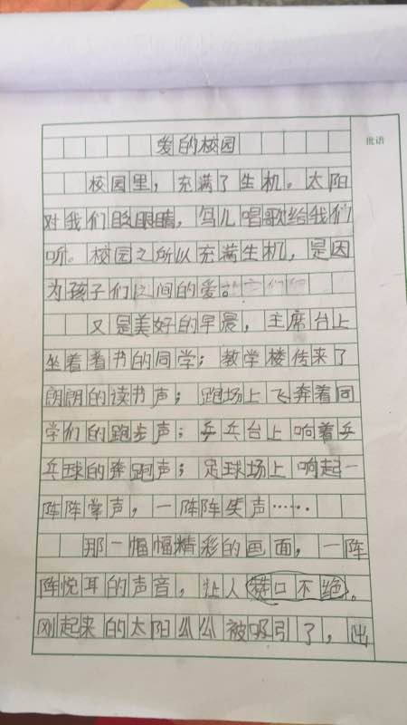 五年级写作论文