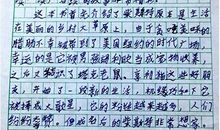 《时代广场的蟋蟀》读后感