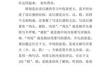 关于体育的作文300字