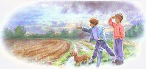 看完玛蒂娜和流浪猫之后