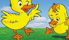 假如我是丑小鸭