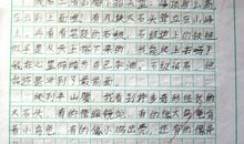 我的校园作文300字