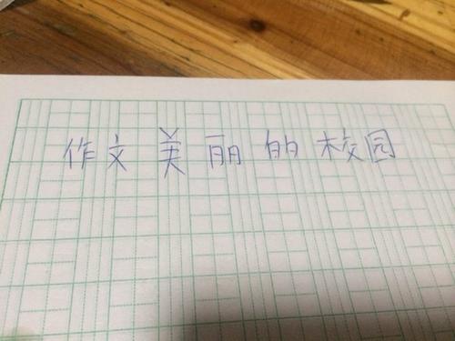 写出美丽的校园作品